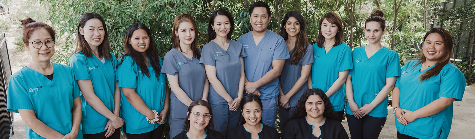 Dentist Header Banner